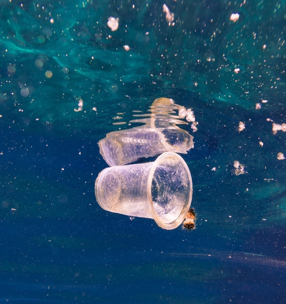 Manta River Project is the first Italian scientific project on microplastics along the Po River  