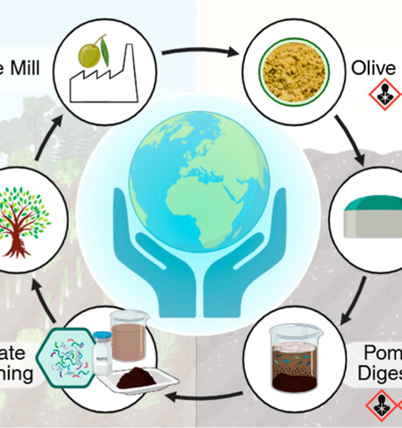 Da microbi “alieni” del suolo a vaccini naturali per le piante: la svolta verde del digestato