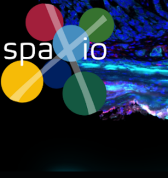 Aperto il bando per 14 borse di dottorato MSCA del progetto europeo SpaXio