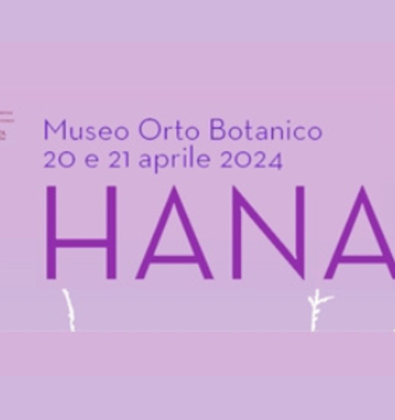 Hanami all’Orto botanico di Roma: un’esplosione di bellezza e cultura