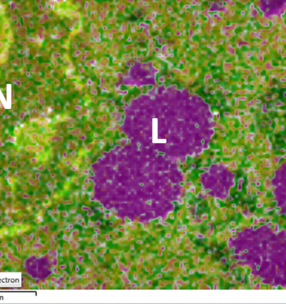Seminario "Nano Analysis su EDS e EBSD" | 22 maggio