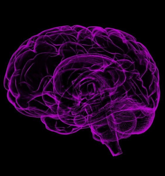 Semaforo rosso al tumore cerebrale infantile