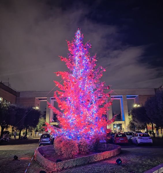 Sapienza per le festività natalizie