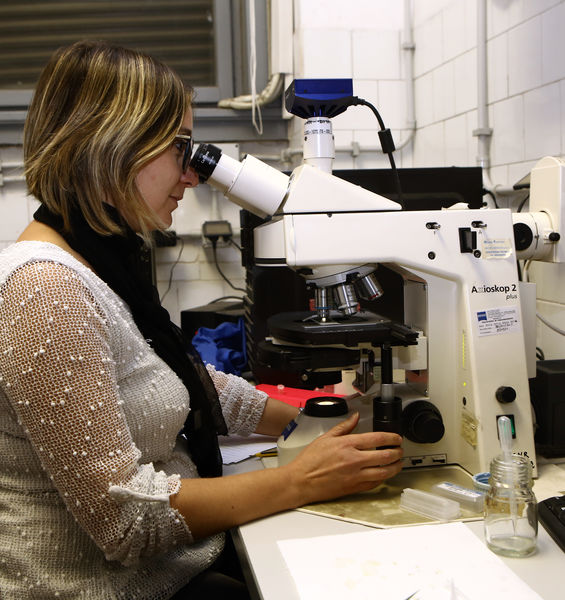 Il progetto "Atom-Advanced Tomography and Microscopies" vince il Bando della Regione Lazio "Infrastrutture aperte per la ricerca"