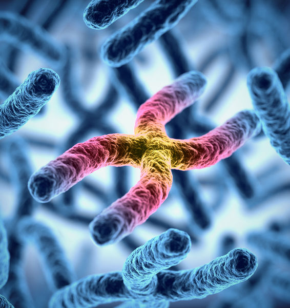 Nuove acquisizioni sul meccanismo di ereditarietà genetica associato al cromosoma X