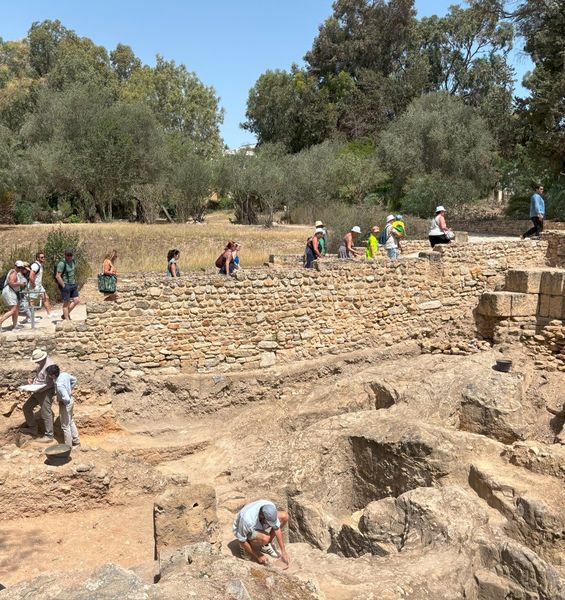 Continuità culturale ma distanza genetica. Il DNA antico sfida le convinzioni consolidate sullo stretto legame tra i fenici e le comunità puniche 