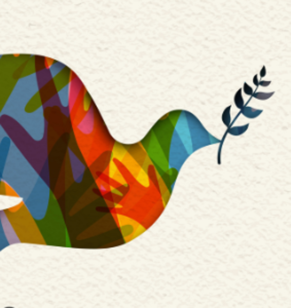 Università, ponti di pace. Sapienza sottoscrive la Carta di Assisi che impegna gli atenei a educare ai valori di universalità, apertura e incontro