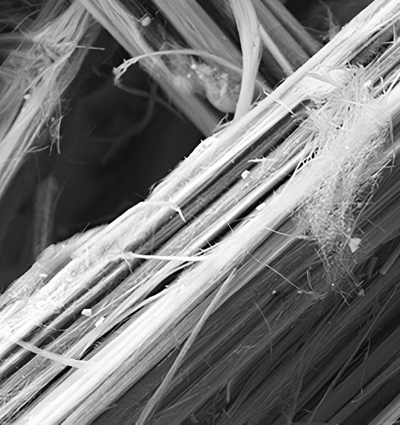 Erionite, la “fibra killer” peggiore dell’amianto: individuato un potenziale meccanismo di tossicità
