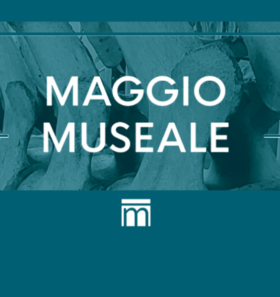 La Notte europea dei Musei 2024