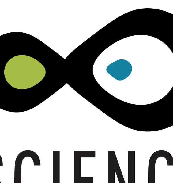 The NET project for the European Researchers