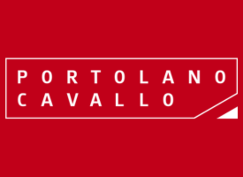 Presentazione aziendale Portolano Cavallo (online) – 17 novembre 2025