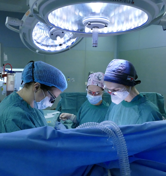 Effettuato presso Sapienza-Sant’Andrea il primo trapianto di trachea in Italia, primo al mondo su un paziente post COVID-19