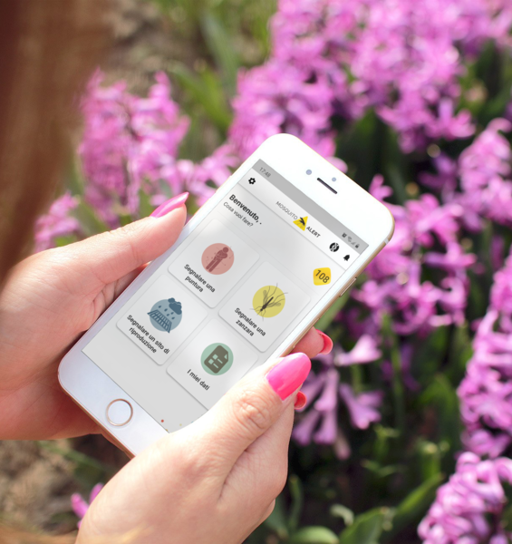 Lotta alle zanzare: approda in Italia MosquitoAlert, l’app che permette ai cittadini di contribuire con un click 