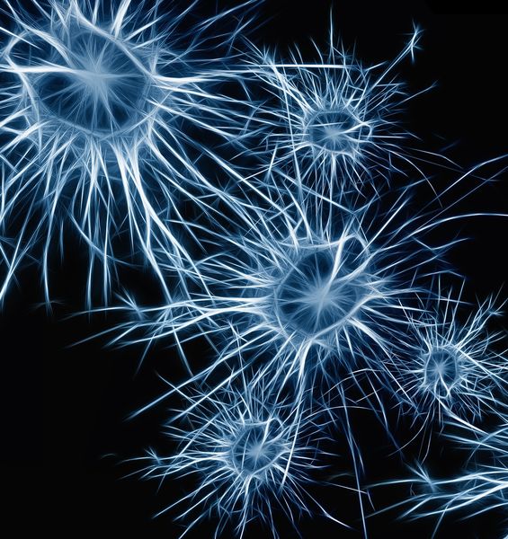 Il riconoscimento Basic Science Award per l