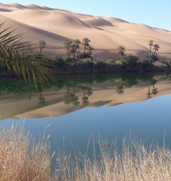 Il Sahara era verde e popolato: la storia dell’evoluzione umana raccontata dal genoma