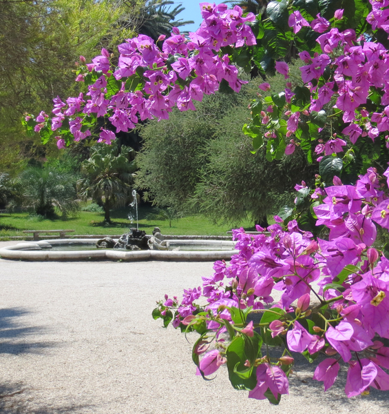 Sunday at the Botanic Garden 