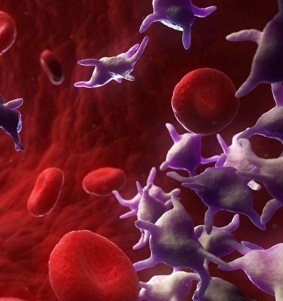COVID-19: anche le piastrine contribuiscono a una risposta più rapida ai vaccini
