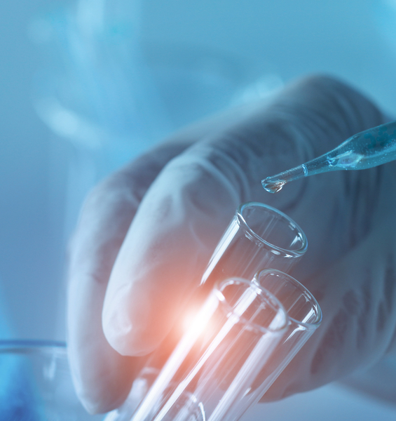 Premio internazionale Prof. Luigi Tartufari a un docente del Dipartimento di Scienze Biochimiche 