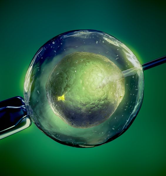 Lotta al cancro: scoperto un nuovo target coinvolto nella progressione tumorale