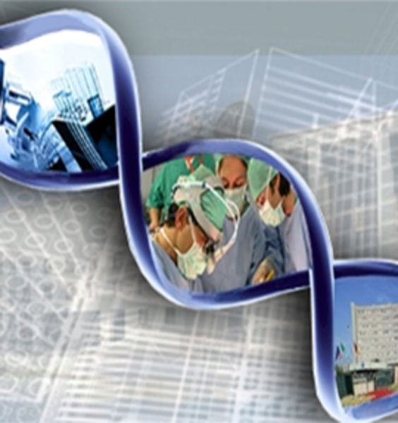 Prima giornata scientifica del Dipartimento di Scienze medico chirurgiche e di medicina traslazionale 