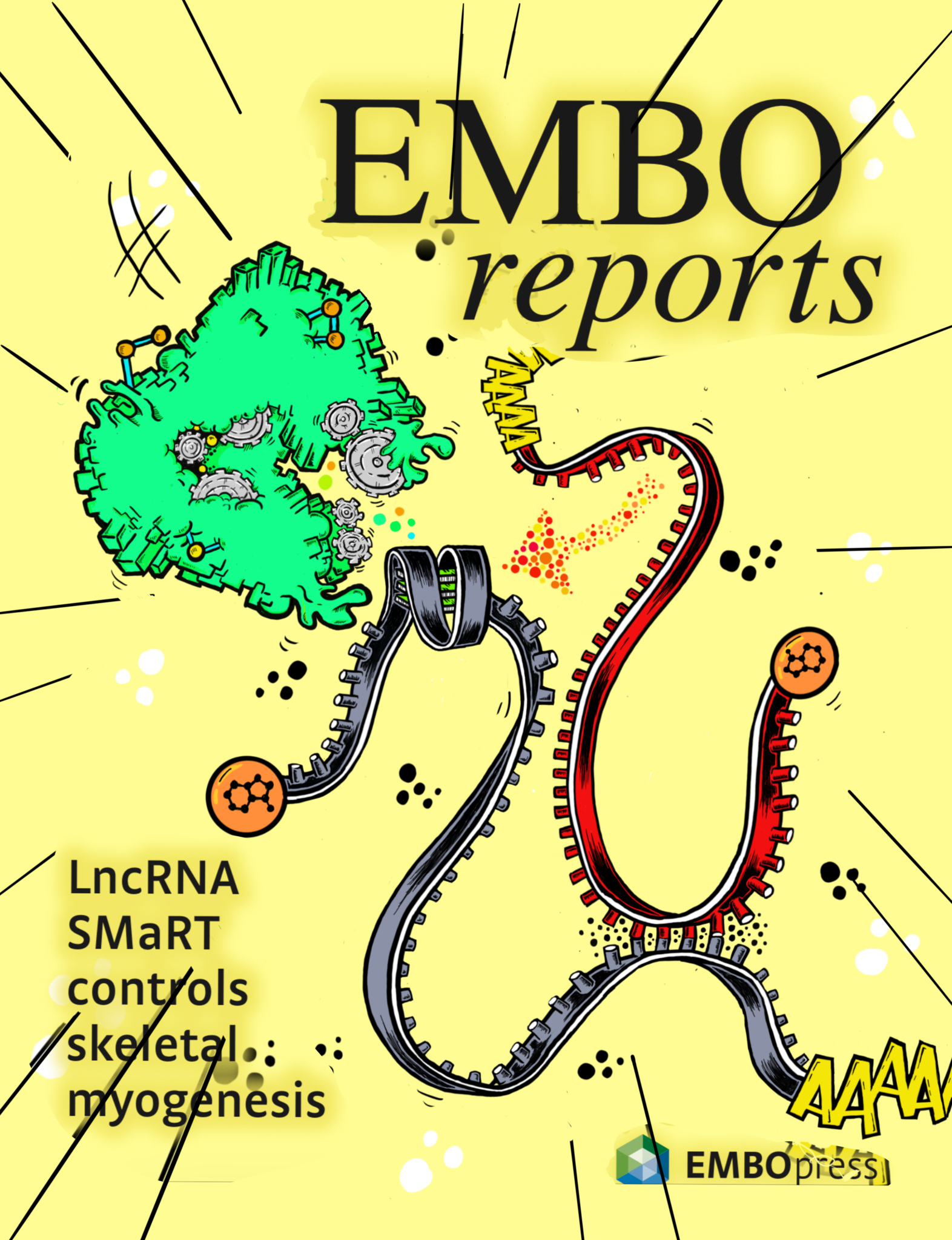 Cover EMBO Reports