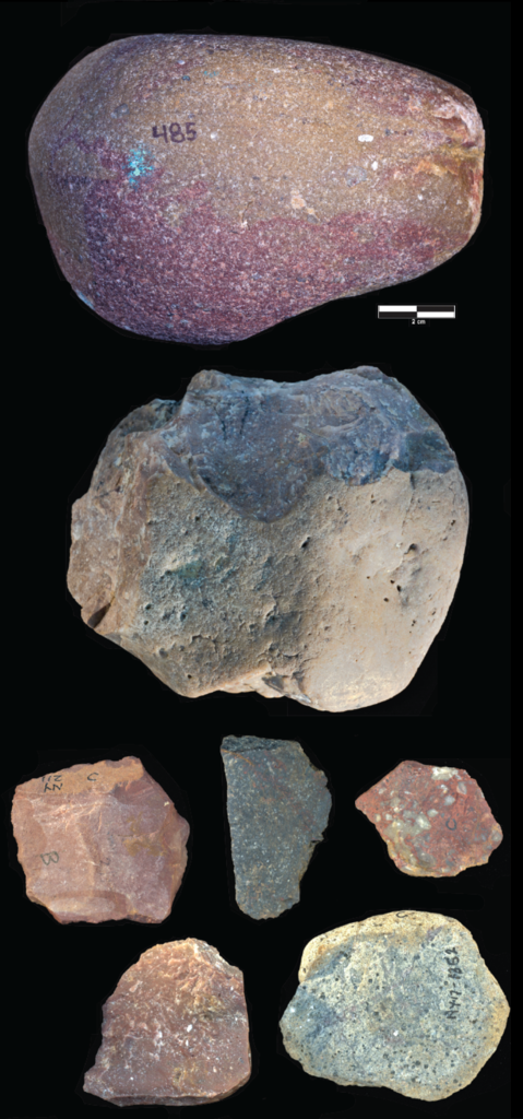 credits Smithsonian Institute