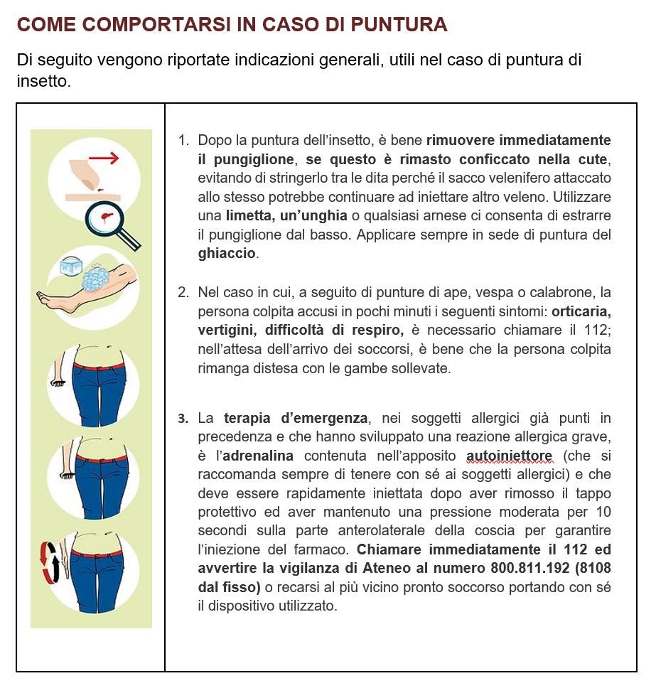 In caso di puntura
