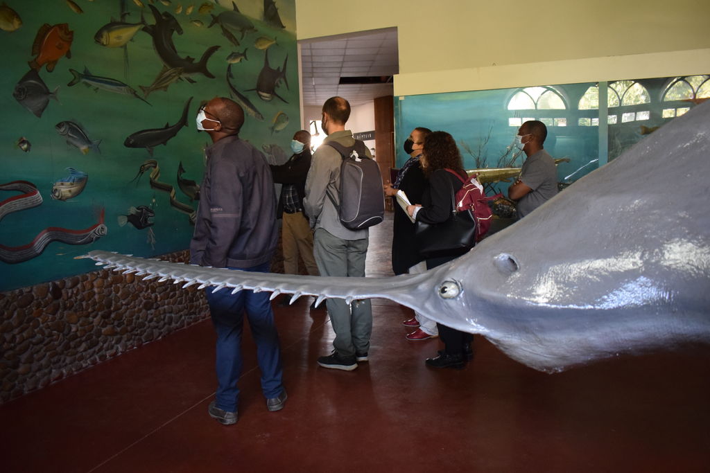 La conferenza di lancio del progetto a Maputo