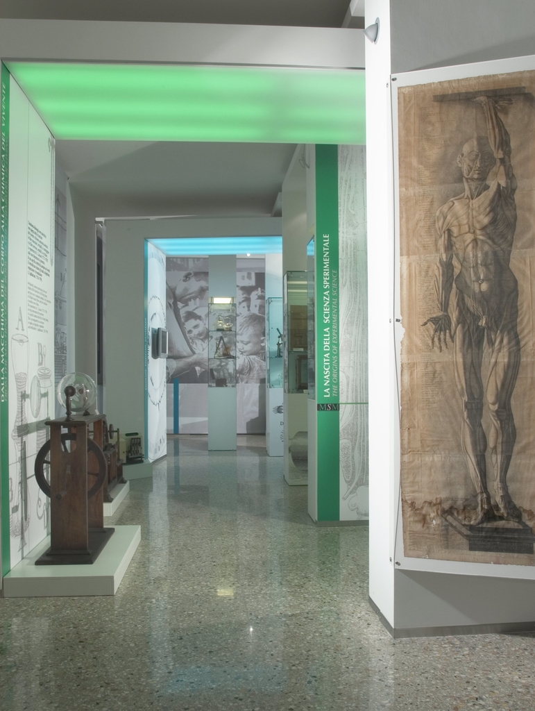 immagine decorativa 