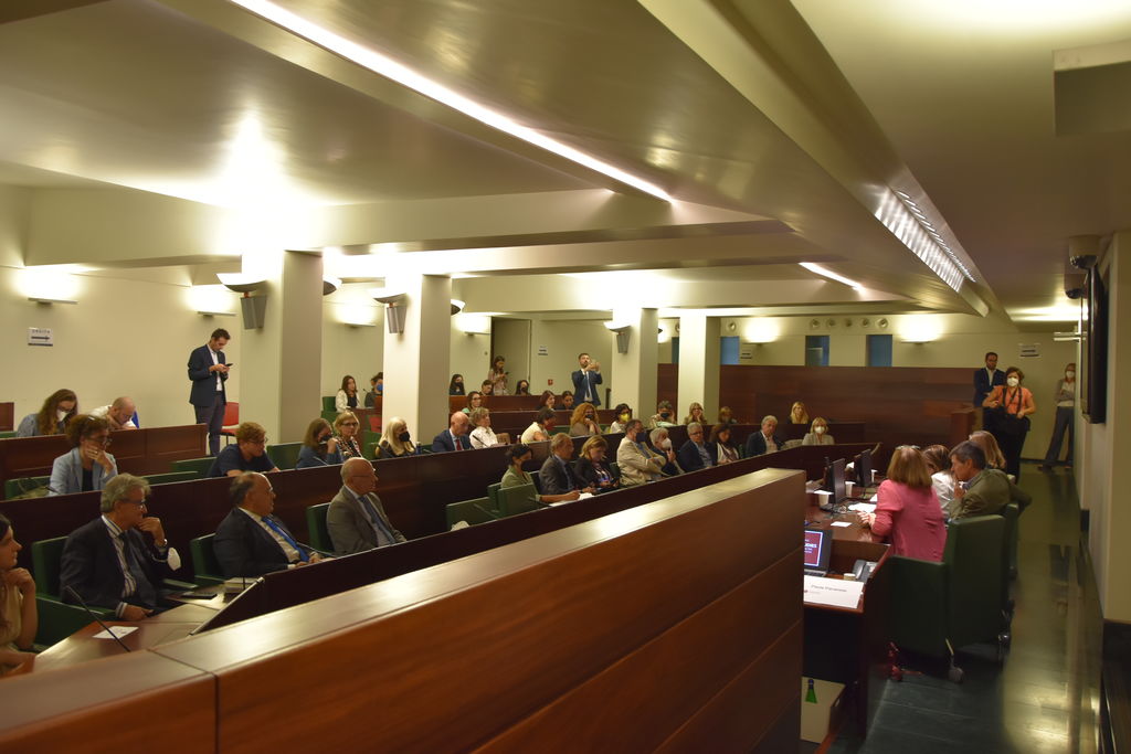 Aula Organi collegiali