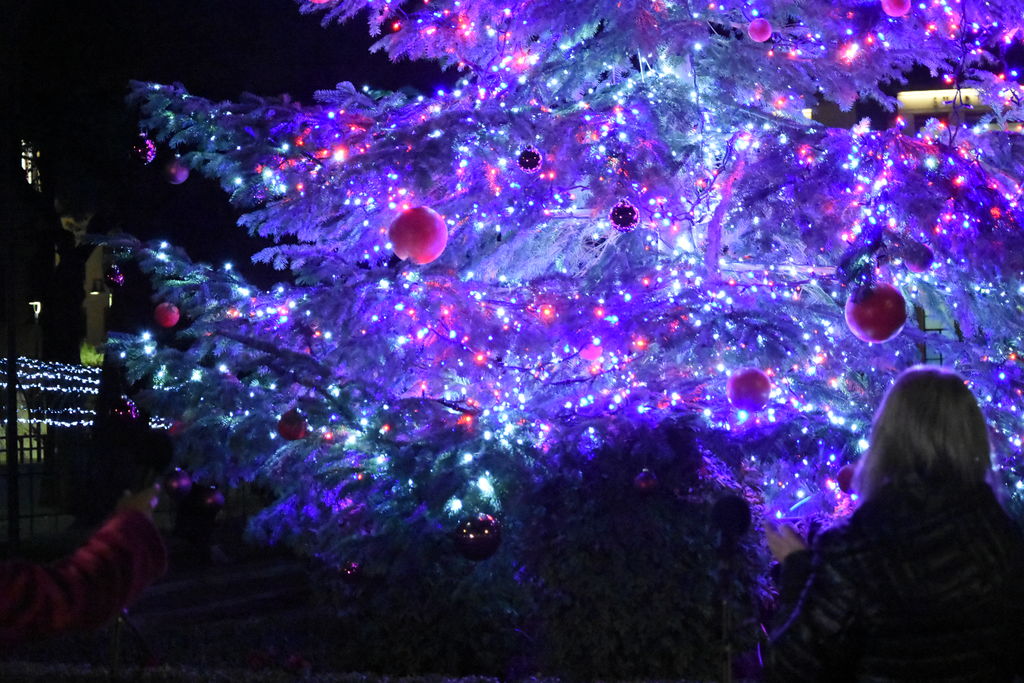 dettaglio dell'albero di Natale - Foto di Barbara Sabatini