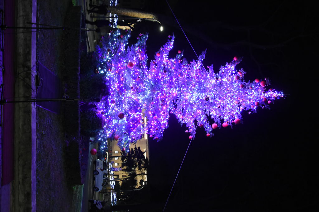 Albero di natale illuminato - Foto di Barbara Sabatini