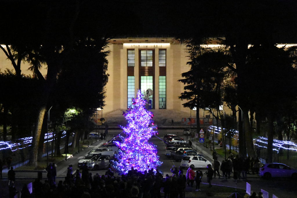 Albero di natale illuminato - Foto di Valentina Alvaro
