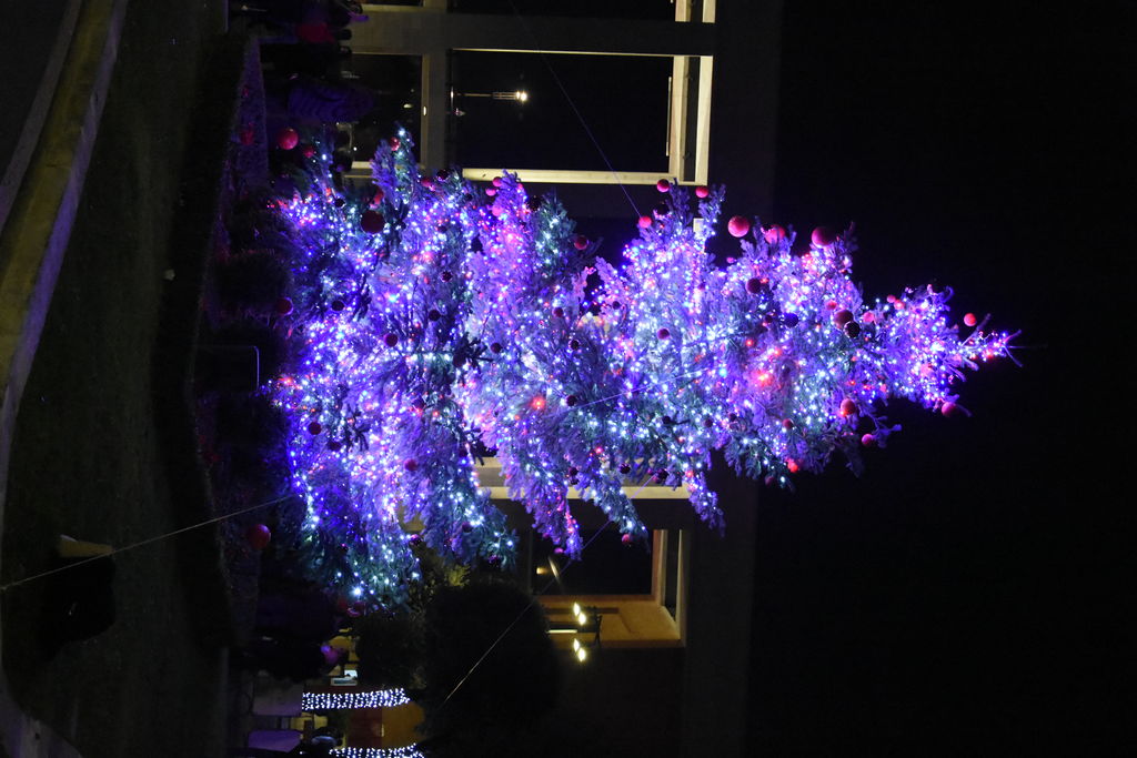 Albero di natale illuminato - Foto di Barbara Sabatini