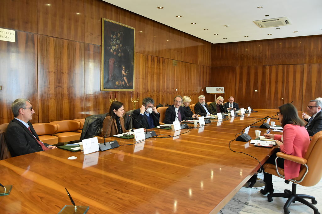 Foto dei partecipanti intorno al tavole della Sala del Senato