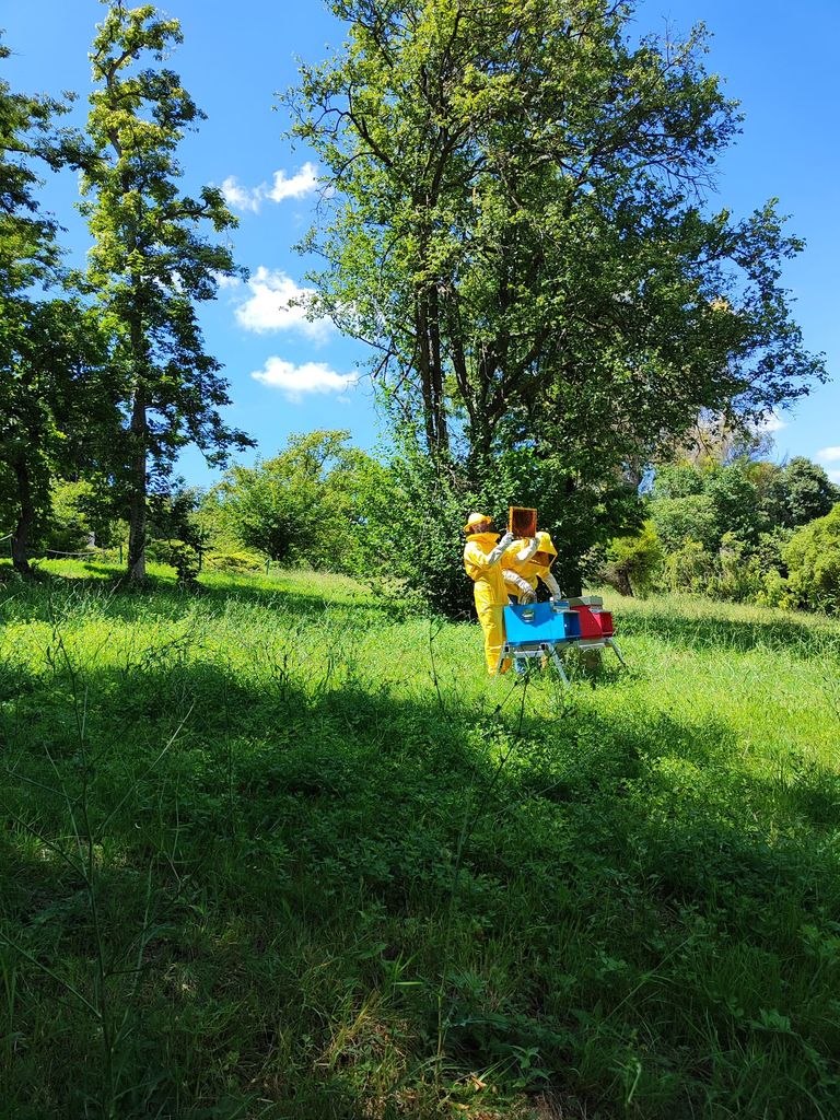 Al lavoro nell’apiario