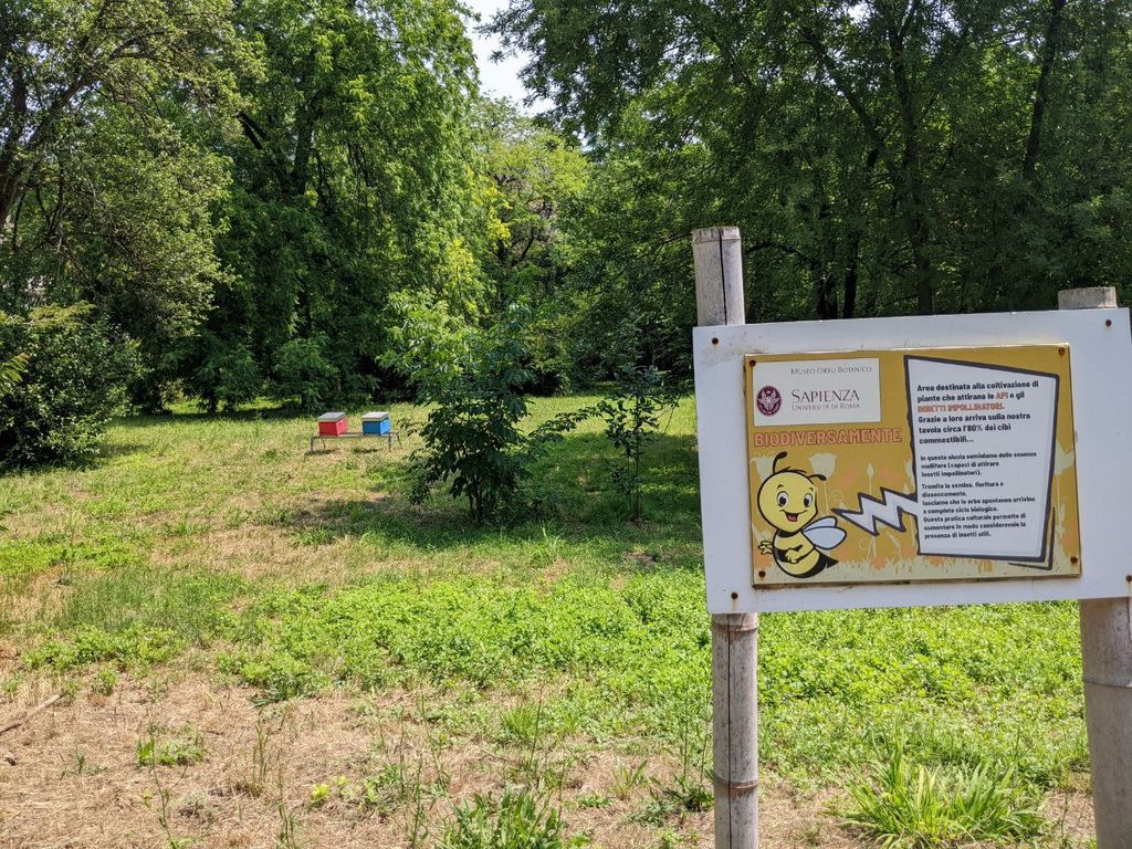 Uno spazio per le api