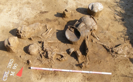 Una tomba doppia (madre e figlio) dal Bronze Age Cemetery  a Cârlomănești-Arman, Romania. Credit: Mihai Constantinescu