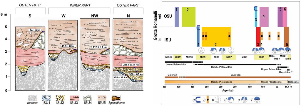 A sinistra sezioni stratigrafiche di diversi settori della grotta. A destra schema cronologico dell’evoluzione della grotta nel Pleistocene.