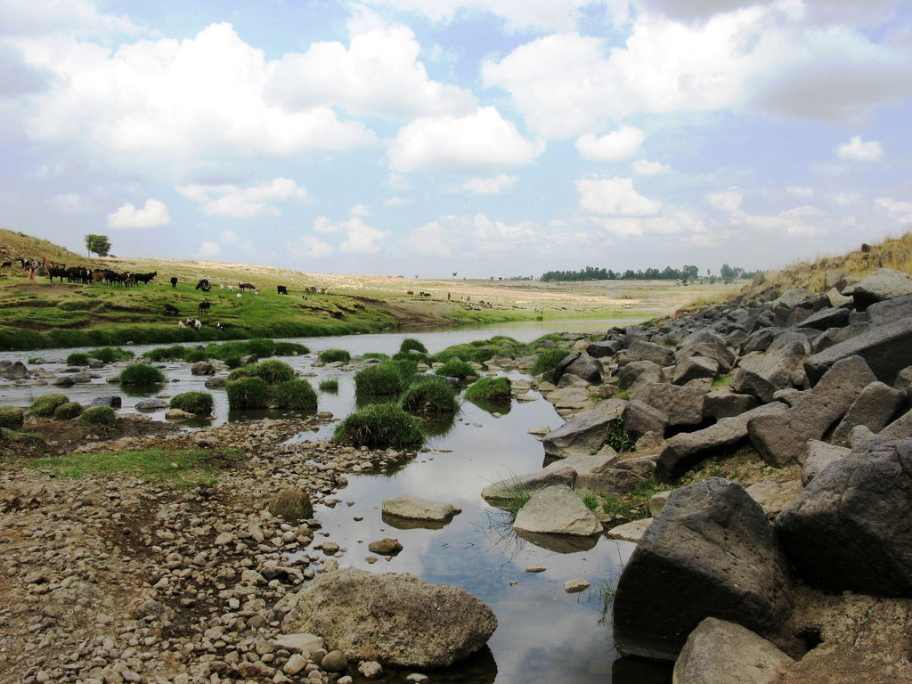 Fiume Awash