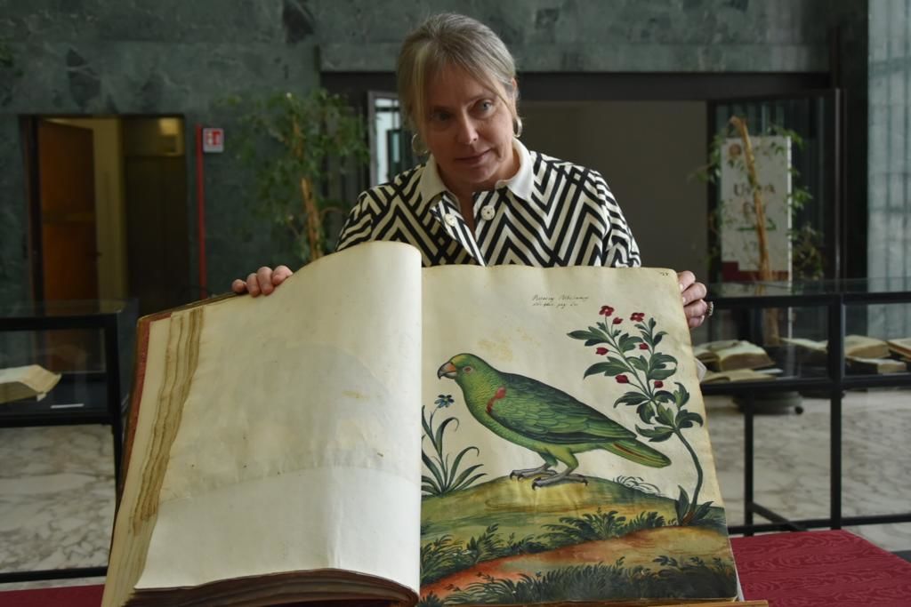 Libro antico a tema botanico