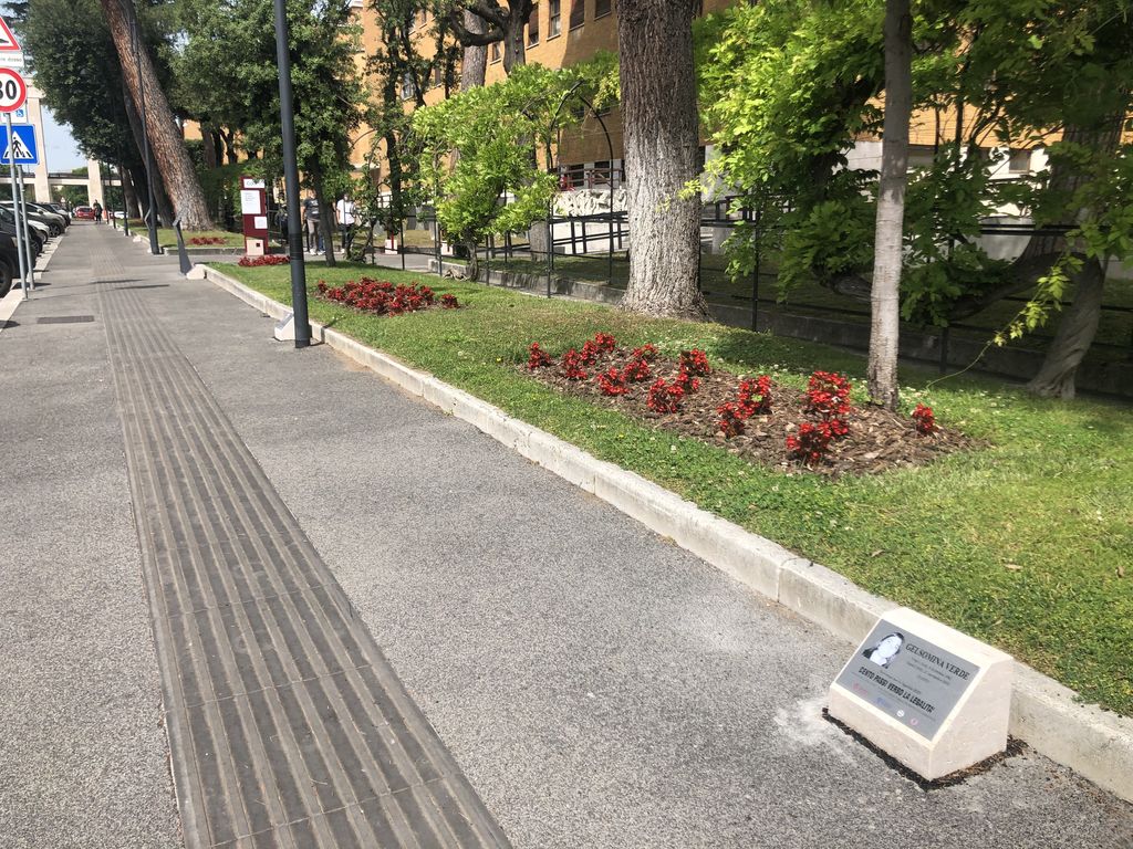 Viale