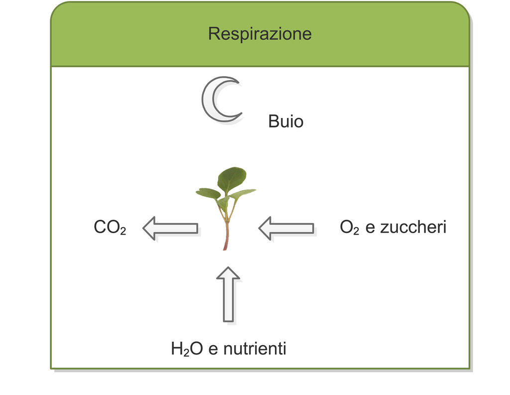 schema respirazione GREENCUBE