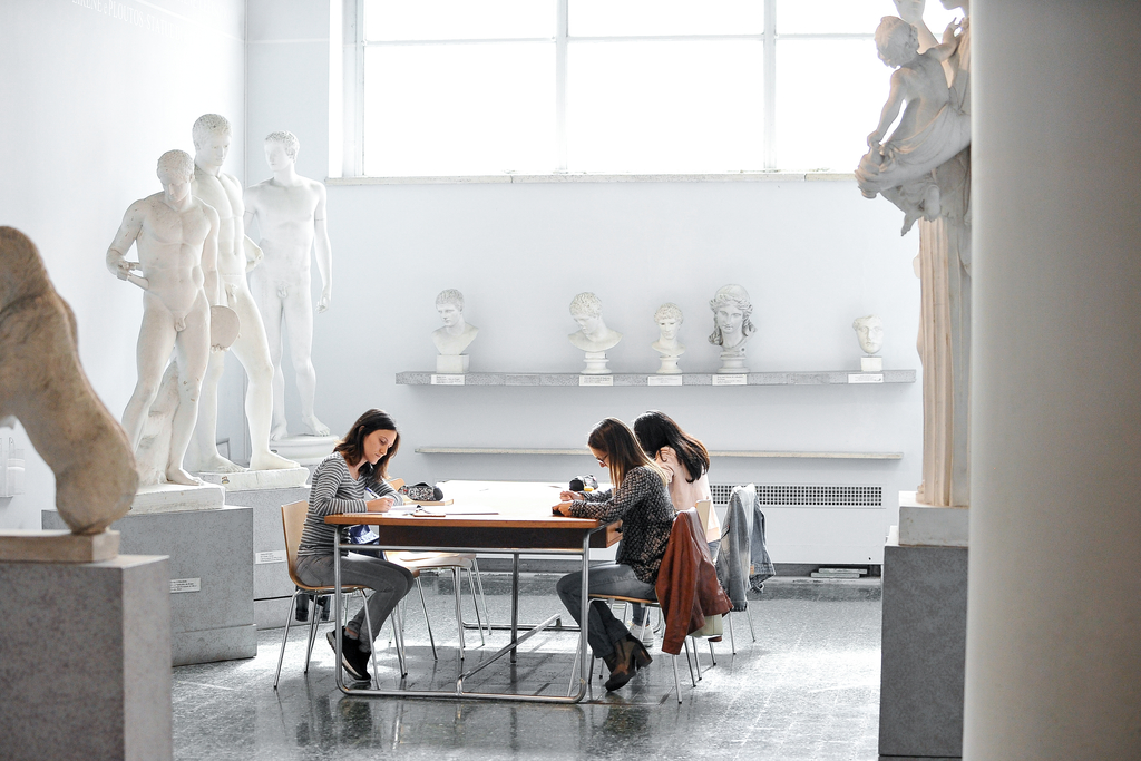 immagine decorativa 