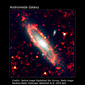 Andromeda con sorgenti radio compatte e brillanti sullo sfondo