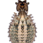 Libelloides latinus