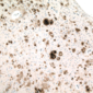 Aggregati proteici in Alzheimer