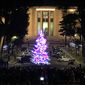 Albero di natale illuminato - Foto di Valentina Alvaro