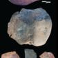credits Smithsonian Institute