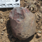 credits Smithsonian Institute